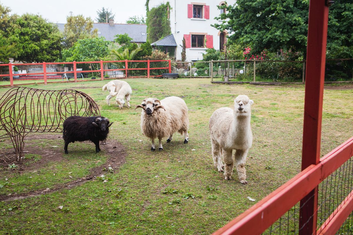 mariage_roudouic_03.jpg, mai 2018 détails de décoration mariage à la Ferme du Roudouic